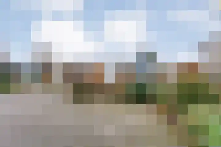 Orionlaan 23 Hardenberg thumbnail 4