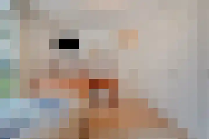 Orionlaan 23 Hardenberg thumbnail 41