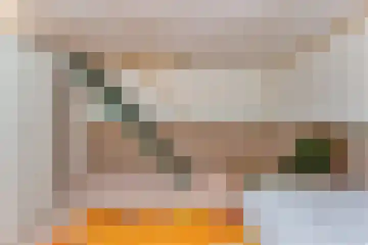 Orionlaan 23 Hardenberg thumbnail 46