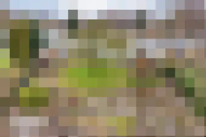 Orionlaan 23 Hardenberg thumbnail 53