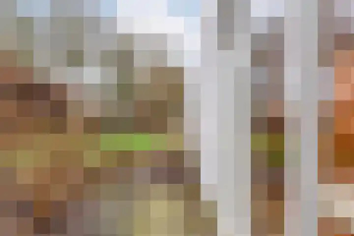 Orionlaan 23 Hardenberg thumbnail 56