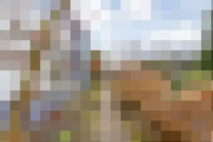 Orionlaan 23 Hardenberg thumbnail 6