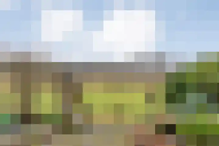 Orionlaan 23 Hardenberg thumbnail 63