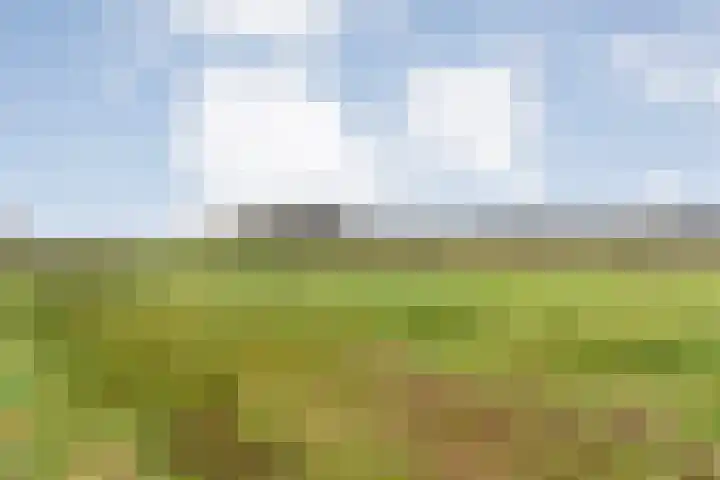 Orionlaan 23 Hardenberg thumbnail 64