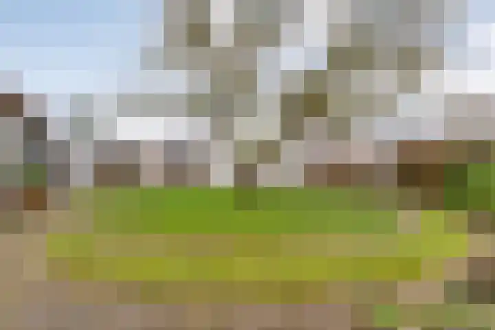 Orionlaan 23 Hardenberg thumbnail 65