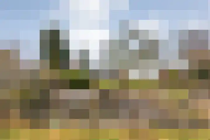 Orionlaan 23 Hardenberg thumbnail 66