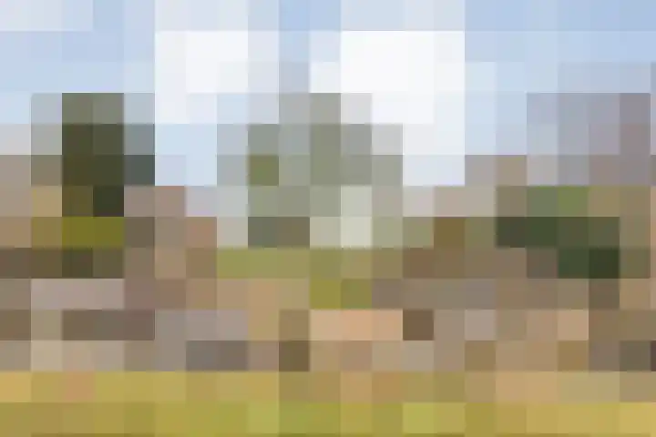 Orionlaan 23 Hardenberg thumbnail 67