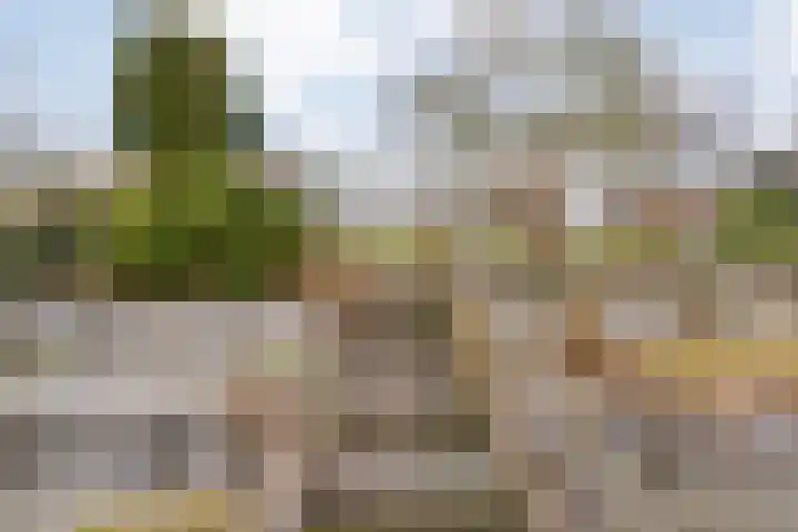 Orionlaan 23 Hardenberg thumbnail 69