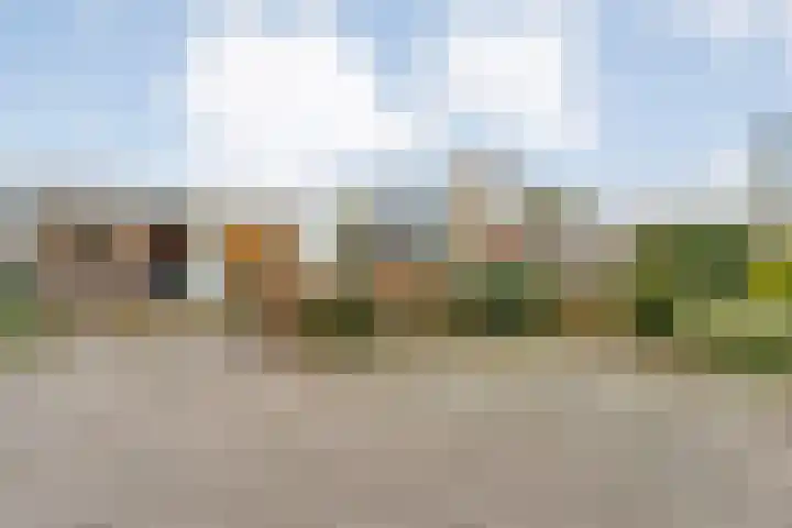 Orionlaan 23 Hardenberg thumbnail 72