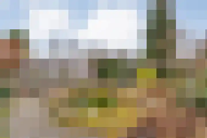 Orionlaan 23 Hardenberg thumbnail 75