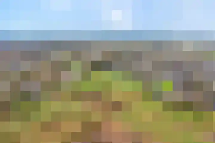 Orionlaan 23 Hardenberg thumbnail 79