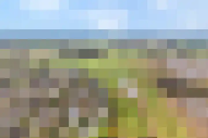 Orionlaan 23 Hardenberg thumbnail 80