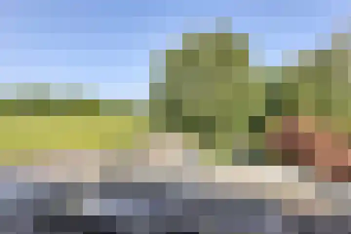 Orionlaan 23 Son en Breugel thumbnail 21