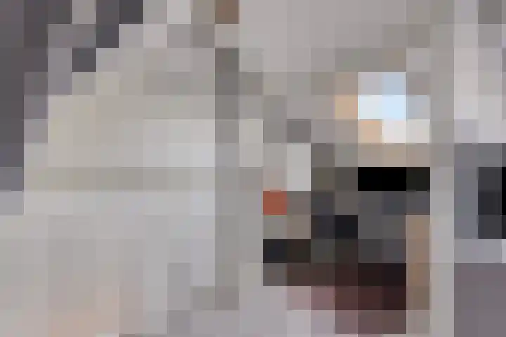 Orionlaan 23 Son en Breugel thumbnail 26