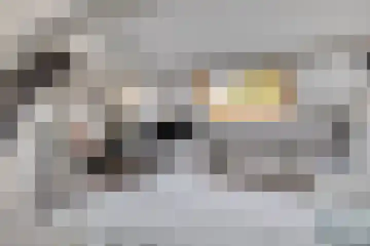 Orionlaan 23 Son en Breugel thumbnail 28