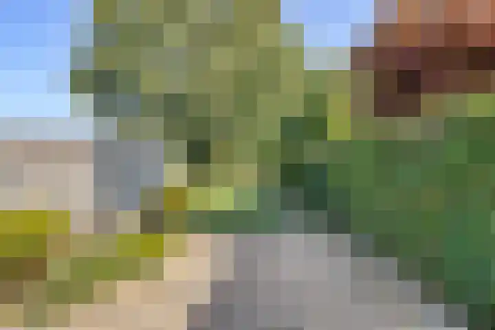Orionlaan 23 Son en Breugel thumbnail 32