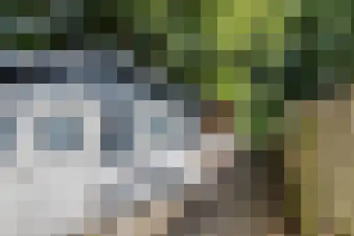 Orionlaan 23 Son en Breugel thumbnail 34