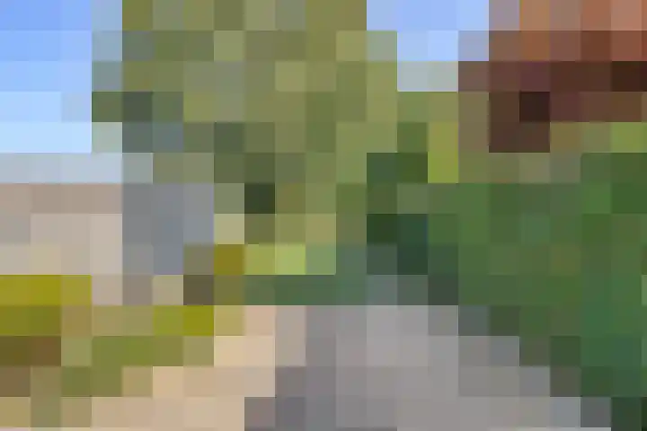 Orionlaan 23 Son en Breugel thumbnail 4