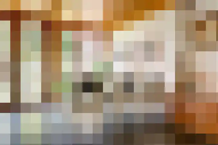 Orionlaan 31 Hilversum thumbnail 11