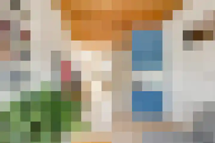Orionlaan 31 Hilversum thumbnail 21