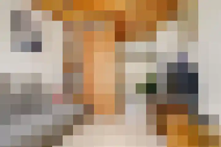Orionlaan 31 Hilversum thumbnail 23