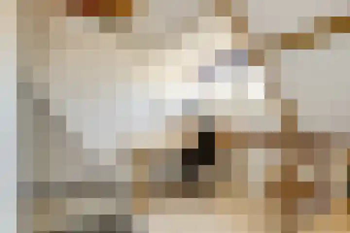 Orionlaan 31 Hilversum thumbnail 25