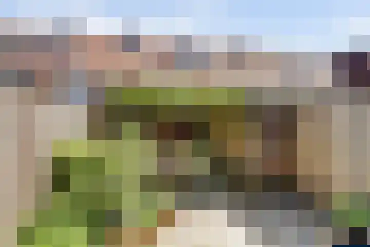 Orionlaan 31 Hilversum thumbnail 33