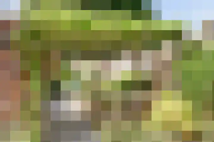 Orionlaan 31 Hilversum thumbnail 34