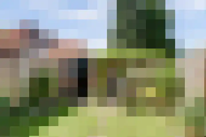 Orionlaan 31 Hilversum thumbnail 35