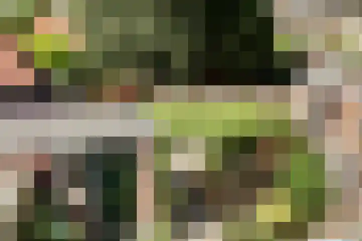 Orionlaan 31 Hilversum thumbnail 36