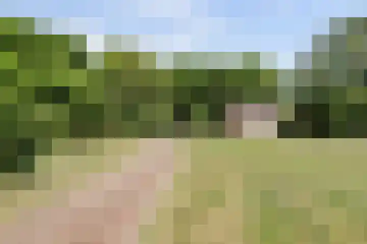 Orionlaan 31 Hilversum thumbnail 39