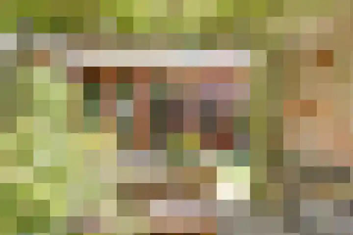 Orionlaan 31 Hilversum thumbnail 4