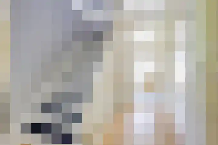 Orionlaan 31 Hilversum thumbnail 6