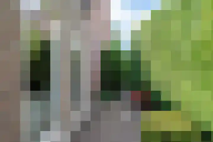 Orionlaan 43 Son en Breugel thumbnail 57