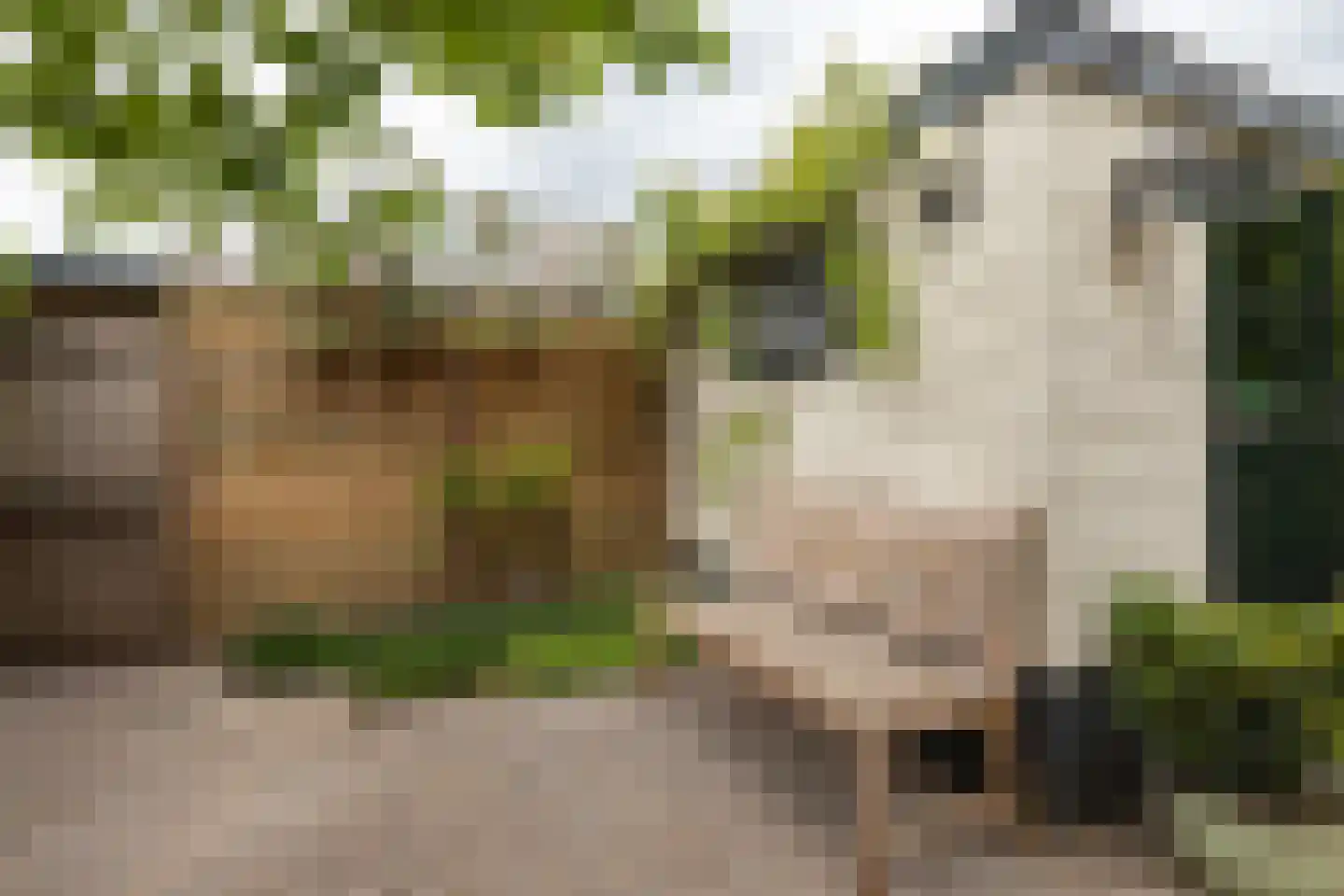 Orionlaan 5 Hilversum thumbnail 32