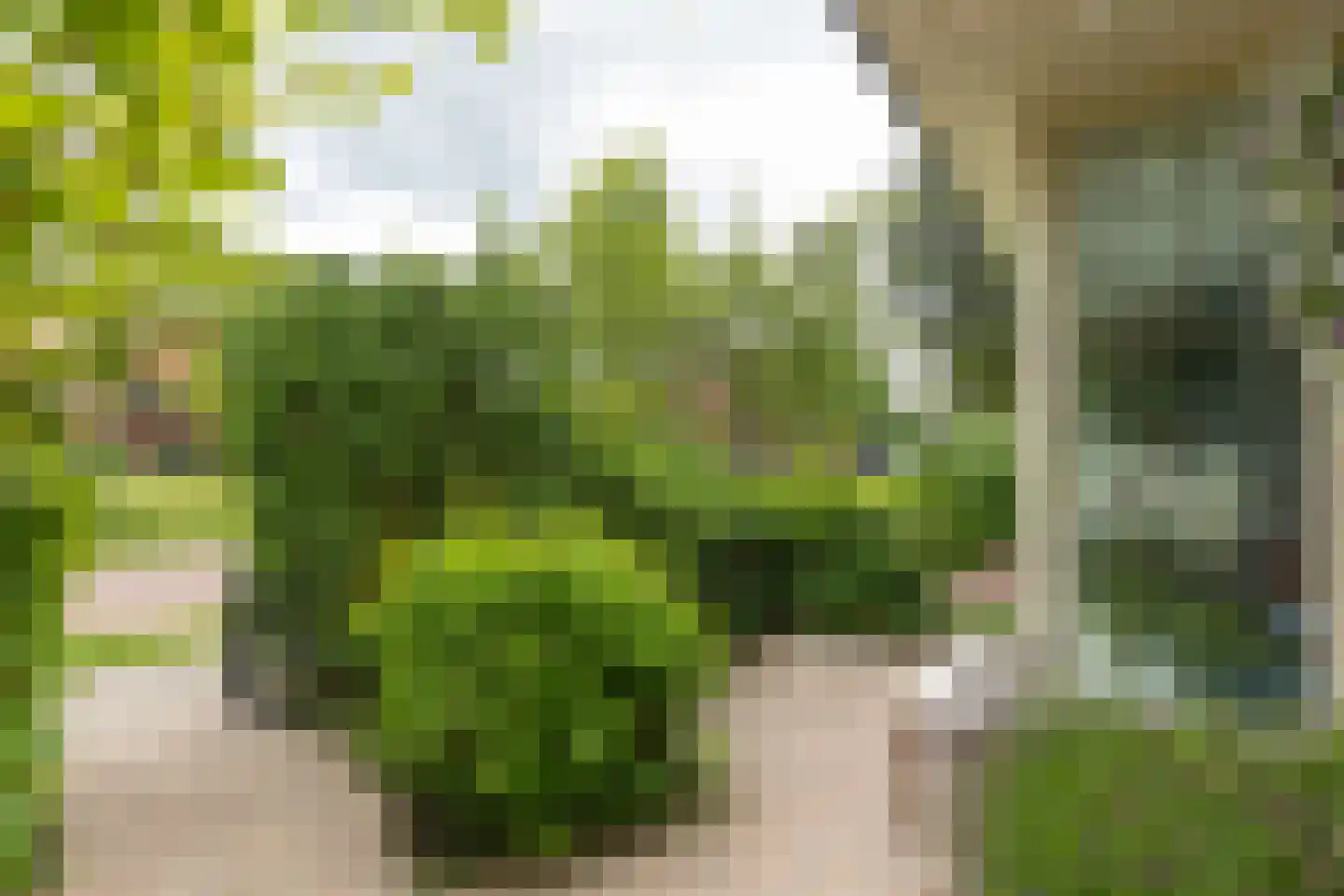 Orionlaan 5 Hilversum thumbnail 4