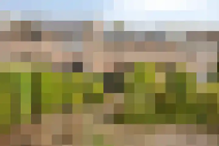 Orionlaan 5 Son en Breugel
