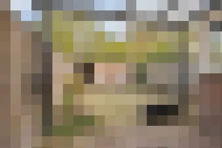 Orionlaan 5 Son en Breugel thumbnail 27