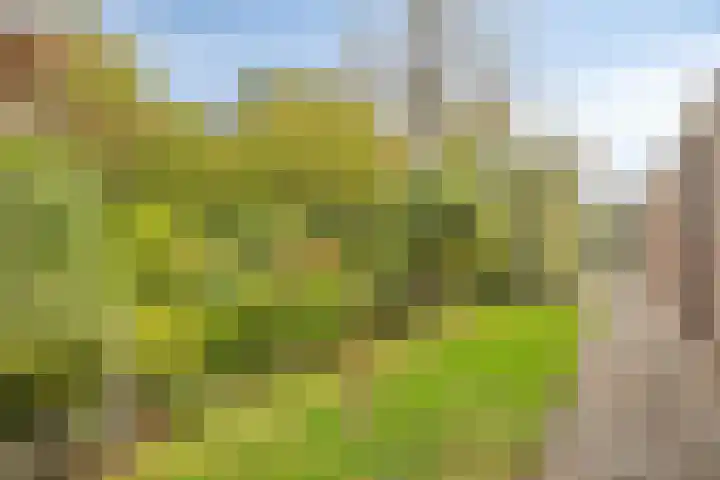 Orionlaan 5 Son en Breugel thumbnail 31