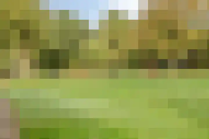 Orionlaan 5 Son en Breugel thumbnail 32