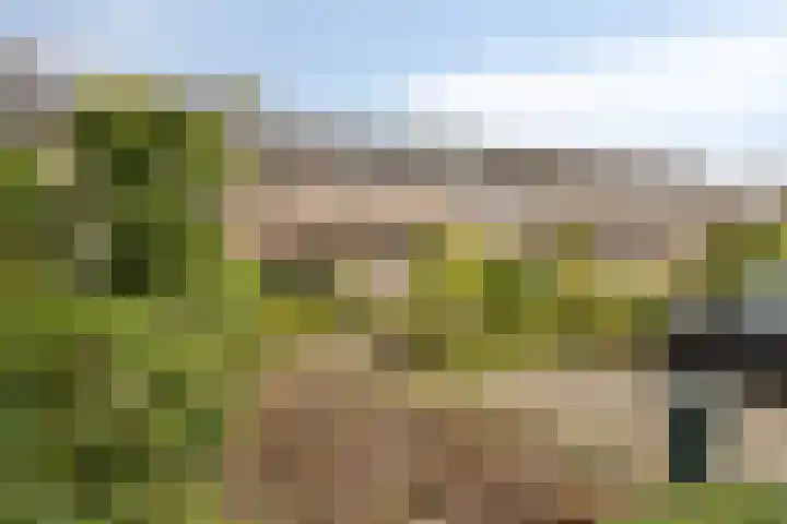 Orionlaan 5 Son en Breugel thumbnail 33