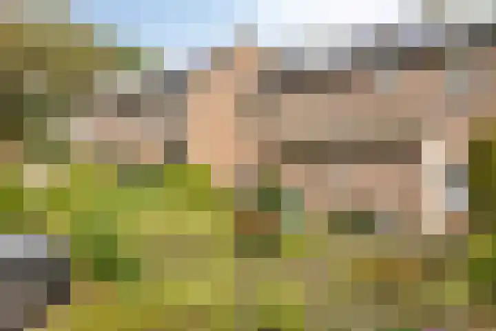 Orionlaan 5 Son en Breugel thumbnail 35