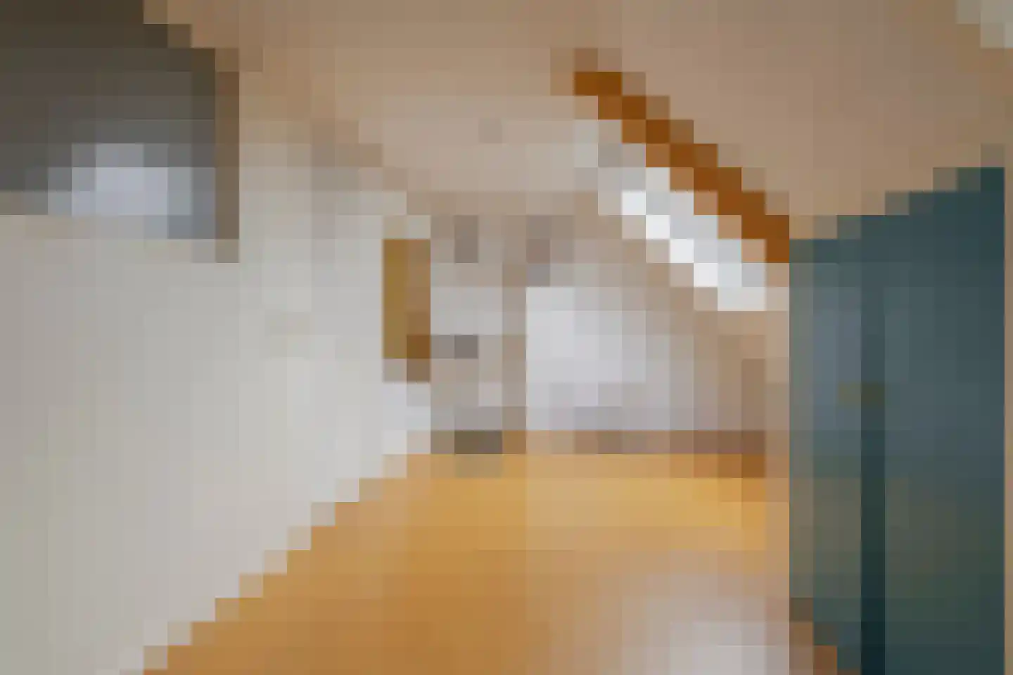 Orionlaan 51 Hilversum thumbnail 29