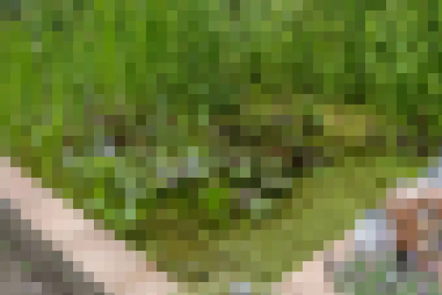Orionlaan 51 Hilversum thumbnail 34