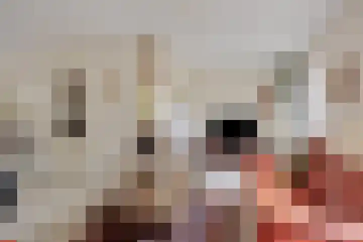 Orionlaan 51 Son en Breugel thumbnail 13
