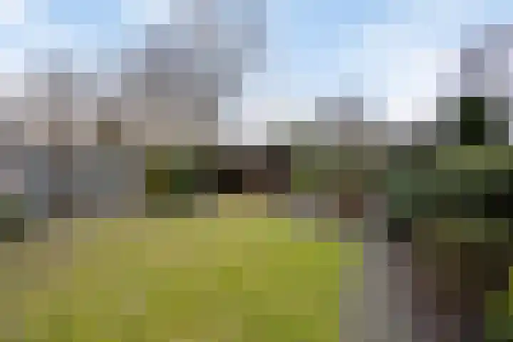 Orionlaan 51 Son en Breugel thumbnail 44