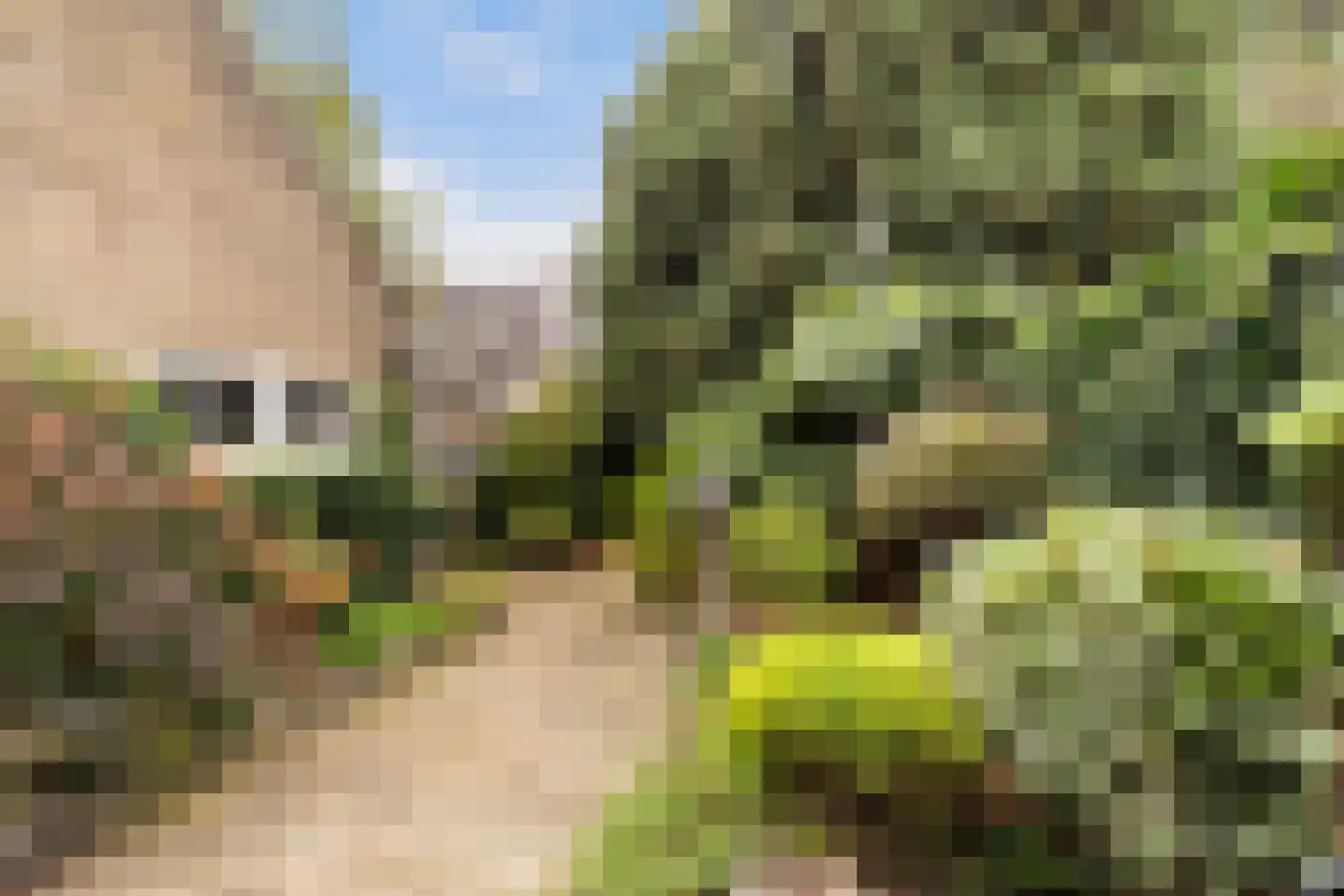 Orionlaan 55 Hilversum thumbnail 18