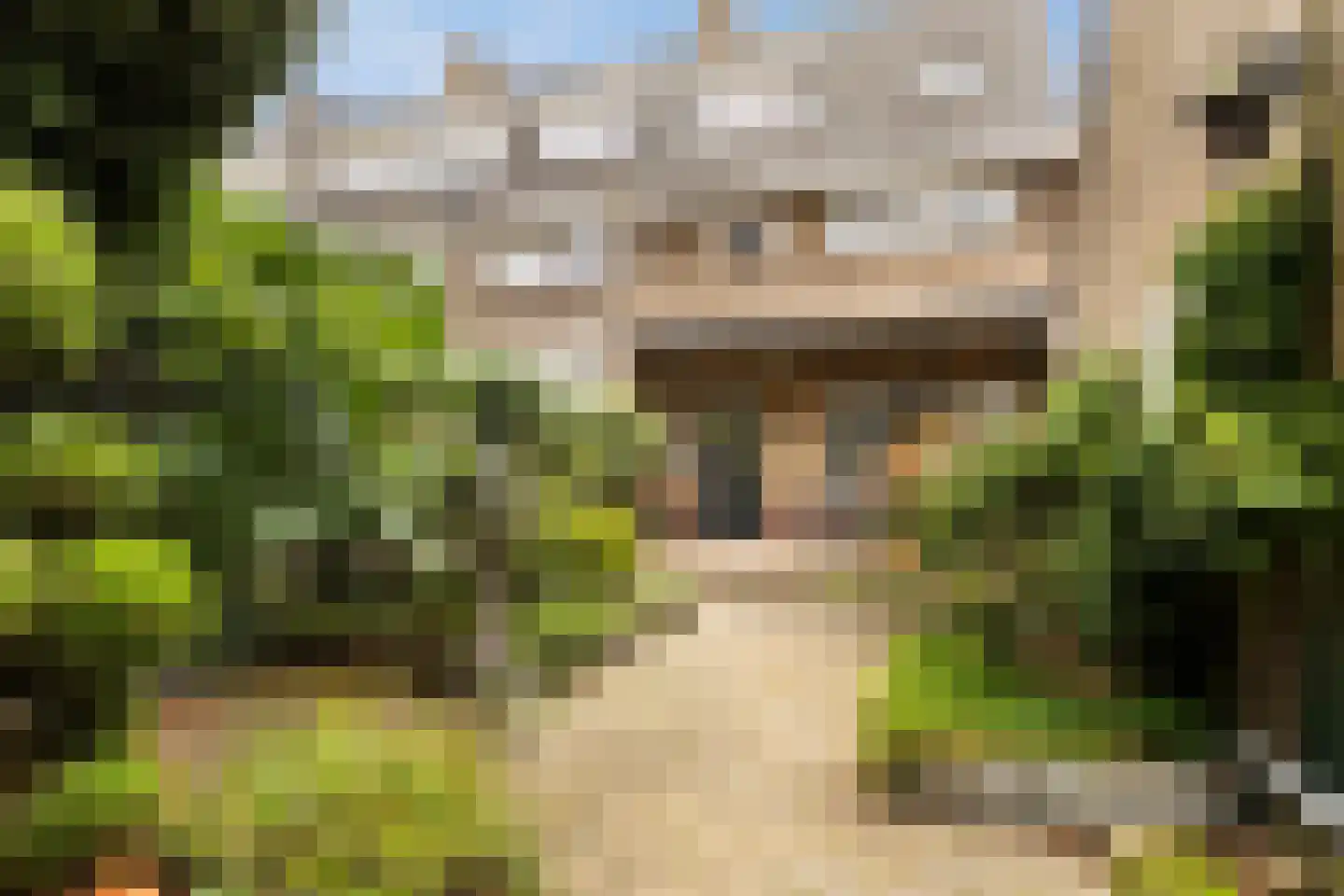 Orionlaan 55 Hilversum thumbnail 20