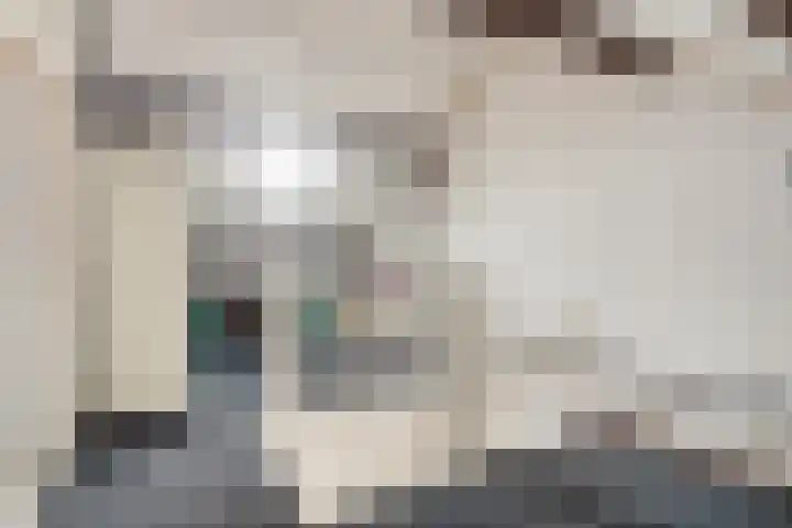 Orionlaan 6 Hardenberg thumbnail 30