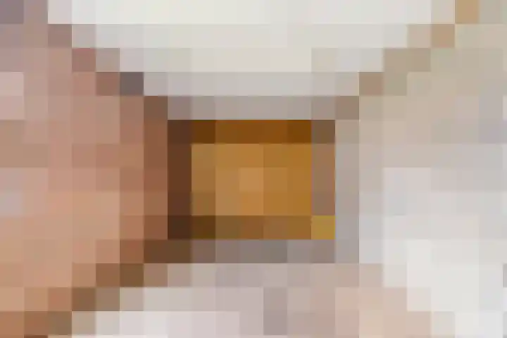 Orionlaan 6 Hardenberg thumbnail 35